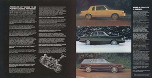 1981 Dodge Aries-02-03.jpg